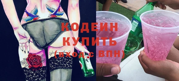 дмт Гусев